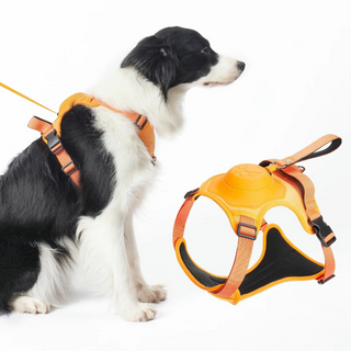 Dog Harnesses Automatic Retractable Chest Harness with leash